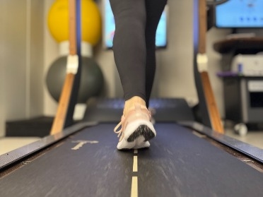 Walker View Test Parziale_image